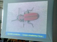 II Podkarpackie Wykłady z Ekologii i Ochrony Środowiska_4