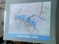 II Podkarpackie Wykłady z Ekologii i Ochrony Środowiska_6