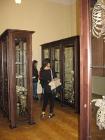 Lekcja anatomii i popołudnie z chemią