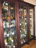 Lekcja anatomii i popołudnie z chemią_3