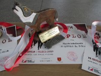 NW w LO ma się dobrze………_10