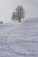 Trening przed feriami na stoku KiczeraSki_12