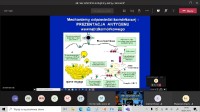 Wykład on-line ,, Jak nasz układ immunologiczny walczy z wirusami? 