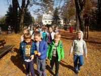 Żegnamy piękną złotą Polską jesień_1