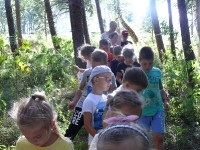 Pierwszoklasiści poznają tajemnice lasu_19