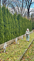  _7