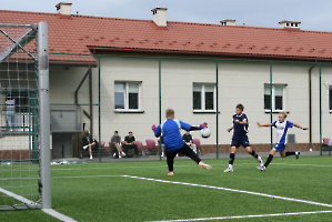 Z Orlika na Stadion